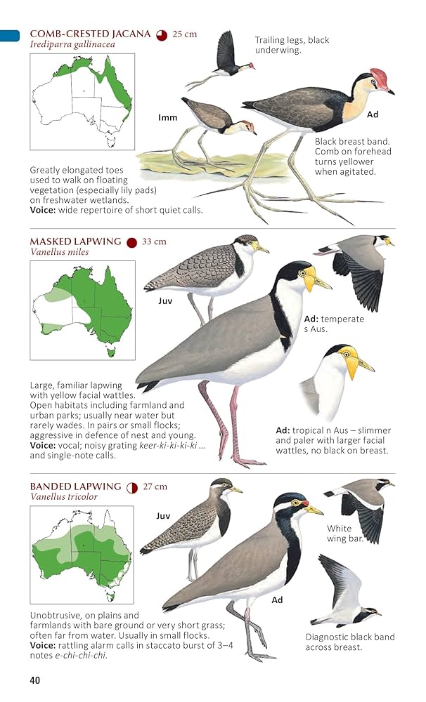 Amazon | The Compact Australian Bird Guide | Davies, Jeff